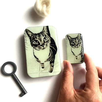 Cat Notions Tin from Firefly Notes