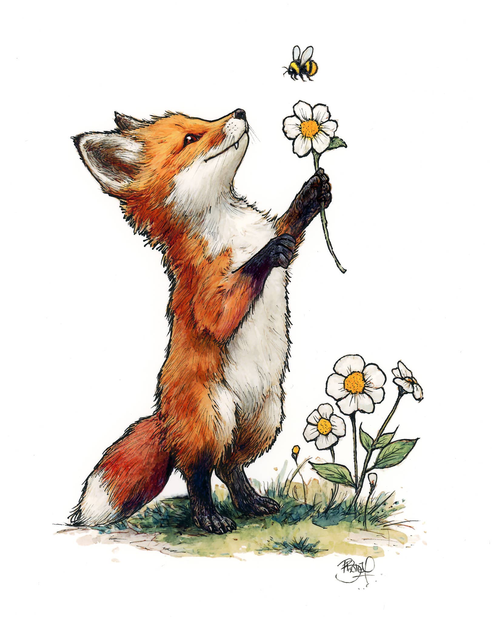 Settle on a Petal Greeting Card (blank inside) by Shawn Braley Illustration - Maine Yarn & Fiber Supply