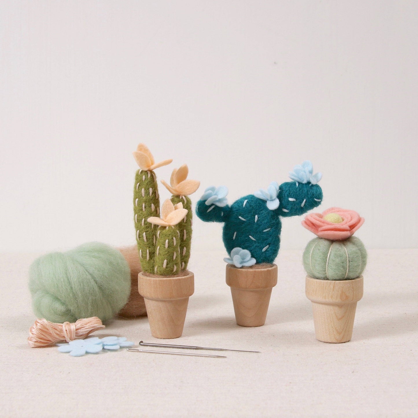 Prickly Pear Needle Felting Kit by Benzie Design