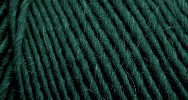 Lamb's Pride: Christmas Green by Brown Sheep Company