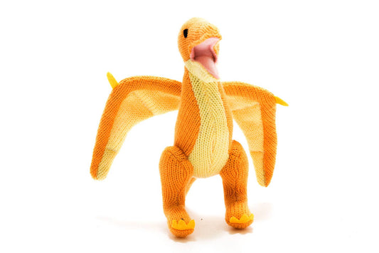 Knitted Pterodactyl Dinosaur Baby Rattle by Best Years