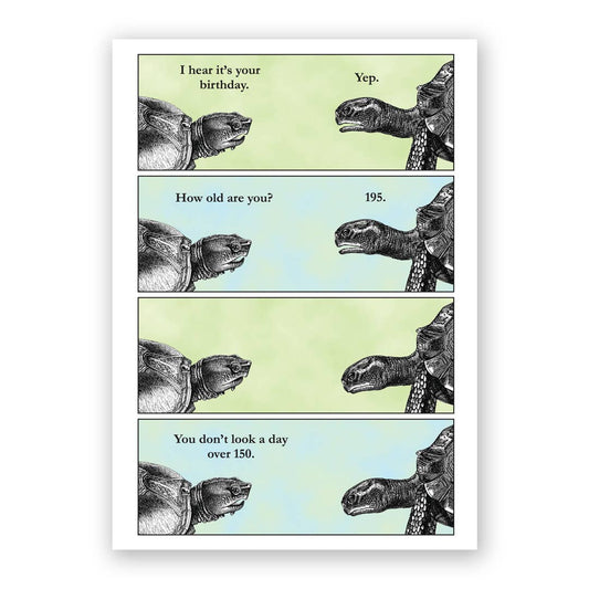 Turtle - Birthday Greeting Card by The Mincing Mockingbird - Maine Yarn & Fiber Supply