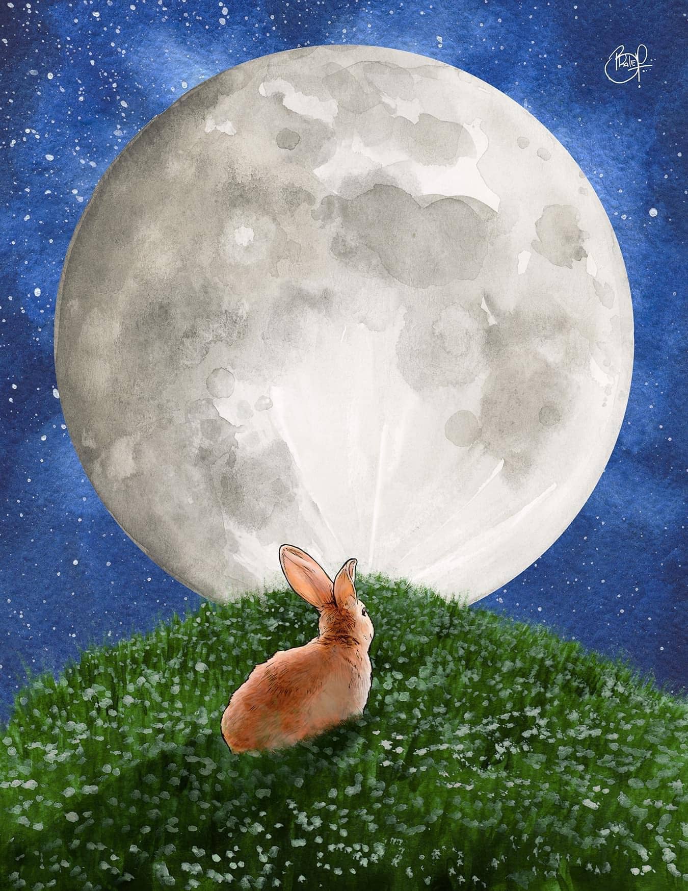 Rise Above Greeting Card (blank inside) by Shawn Braley Illustration
