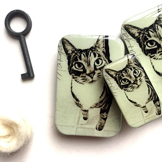 Cat Notions Tin from Firefly Notes