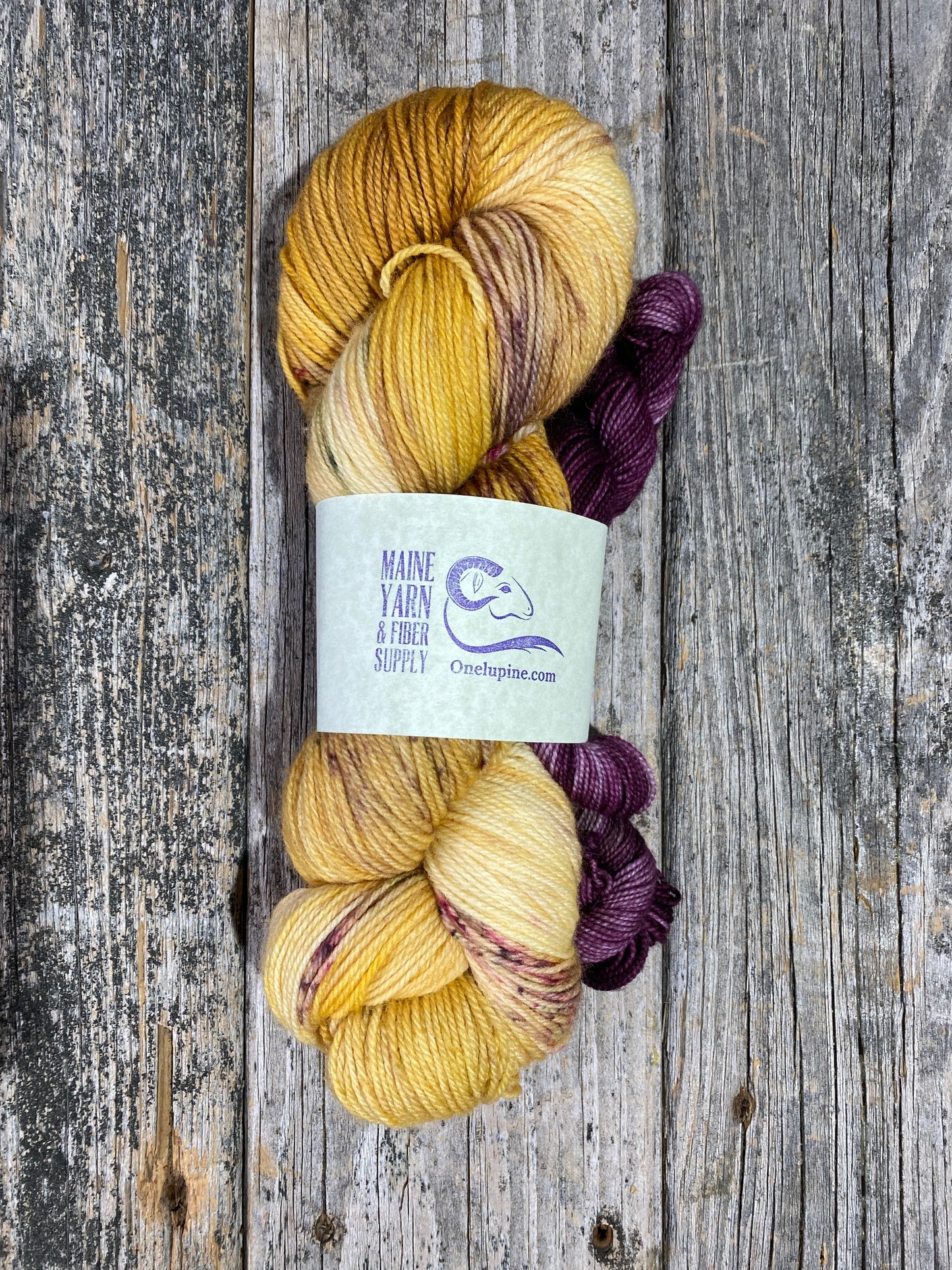 Schoodic: Golden Chai + BonBon - Riff Shawl Kit