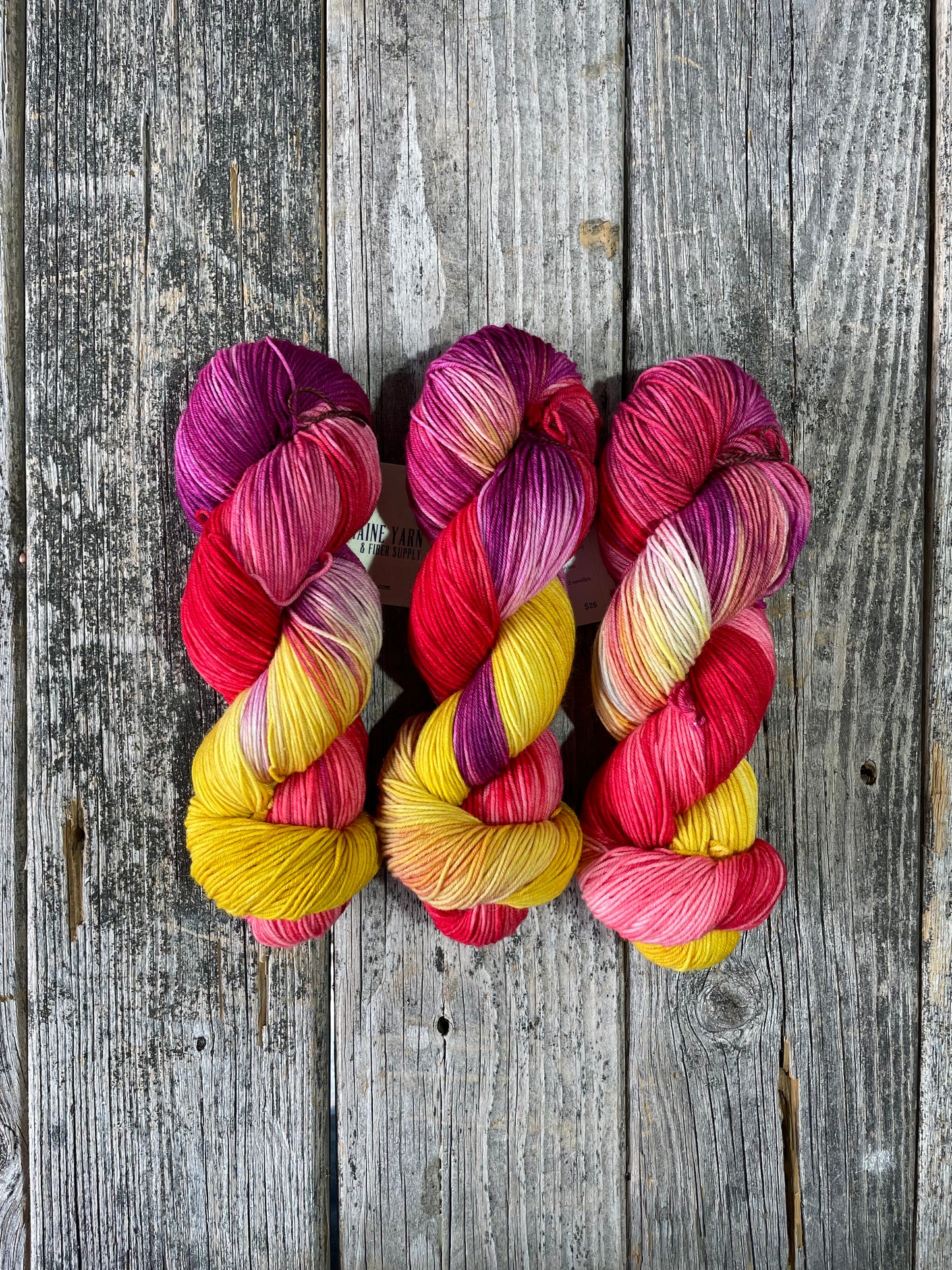 Saco: Zinnia