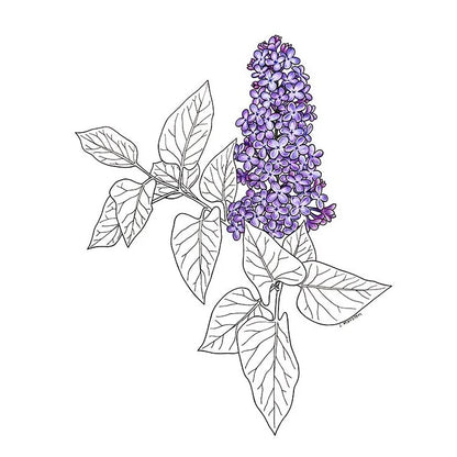 Lilac - Greeting Card by 3 Legged Dog Ink