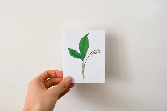 Lily of the Valley - Greeting Card by 3 Legged Dog Ink