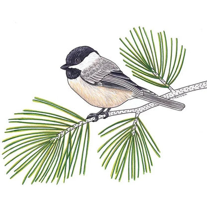 Chickadee - Greeting Card by 3 Legged Dog Ink