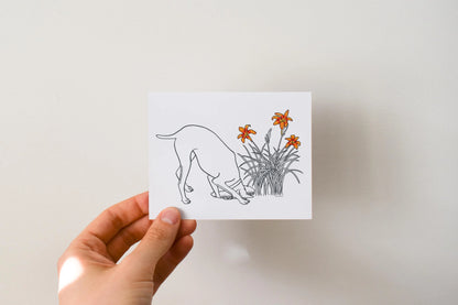Dog - Boxed Set of 8 Greeting Cards by 3 Legged Dog Ink