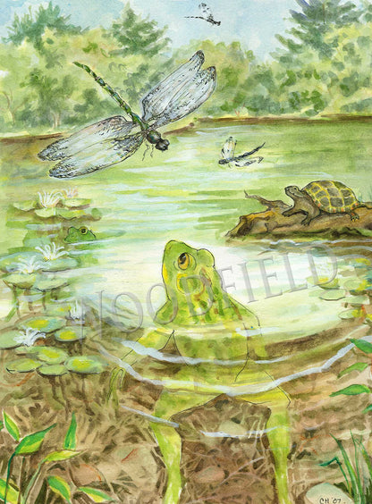 Lily Pond - Greeting Card by Woodfield Press