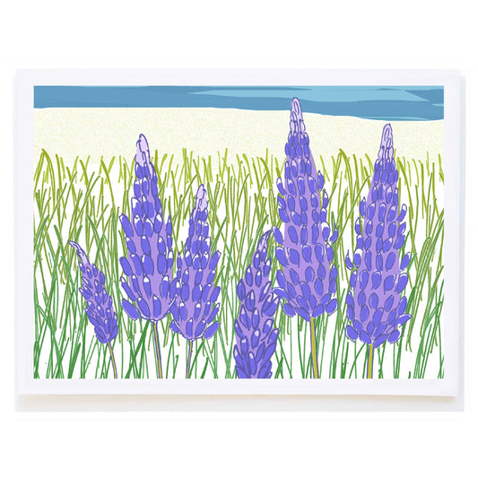 Lupines - Greeting Card (Blank Inside) by Molly O