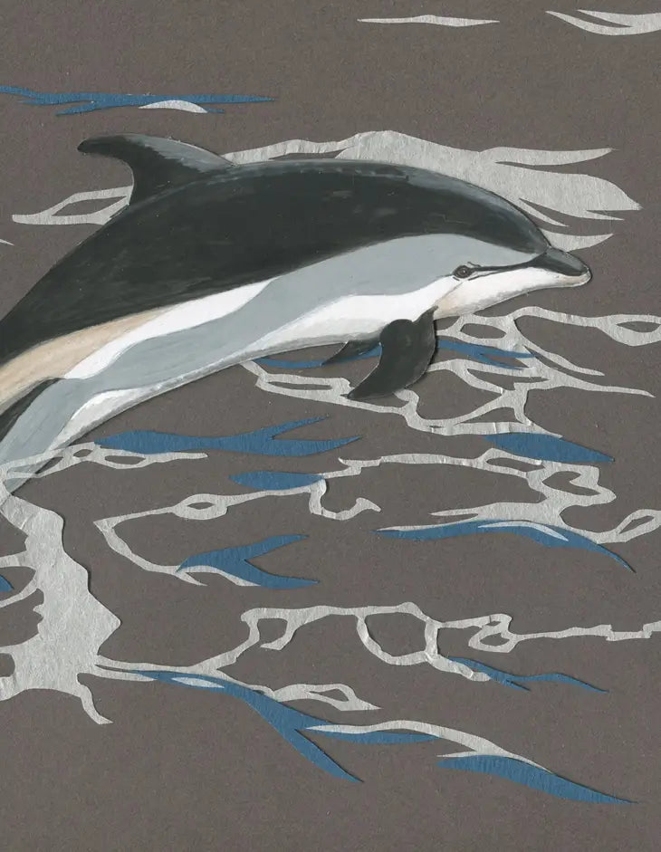 Atlantic Dolphin Greeting Card (Blank Inside) by Johanna Finnegan-Topitzer