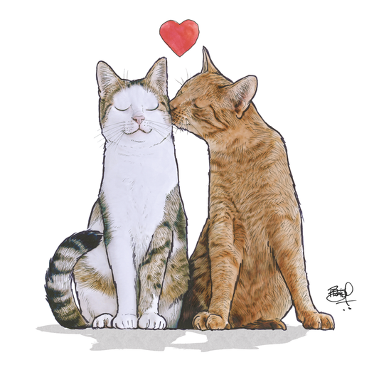 Live, Love, Purr Greeting Card (blank inside) by Shawn Braley Illustration