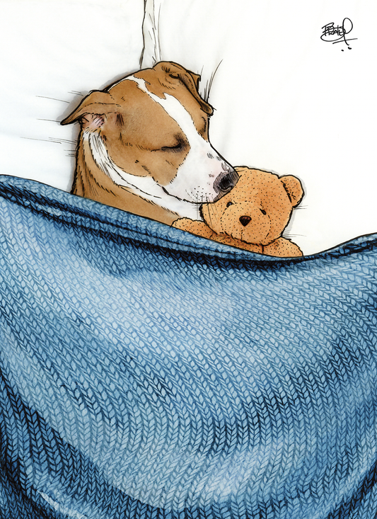 The Snuggle is Real Greeting Card (blank inside) by Shawn Braley Illustration