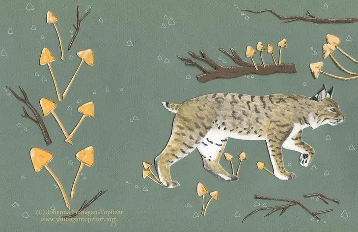 Bobcat Greeting Card (Blank Inside) by Johanna Finnegan-Topitzer