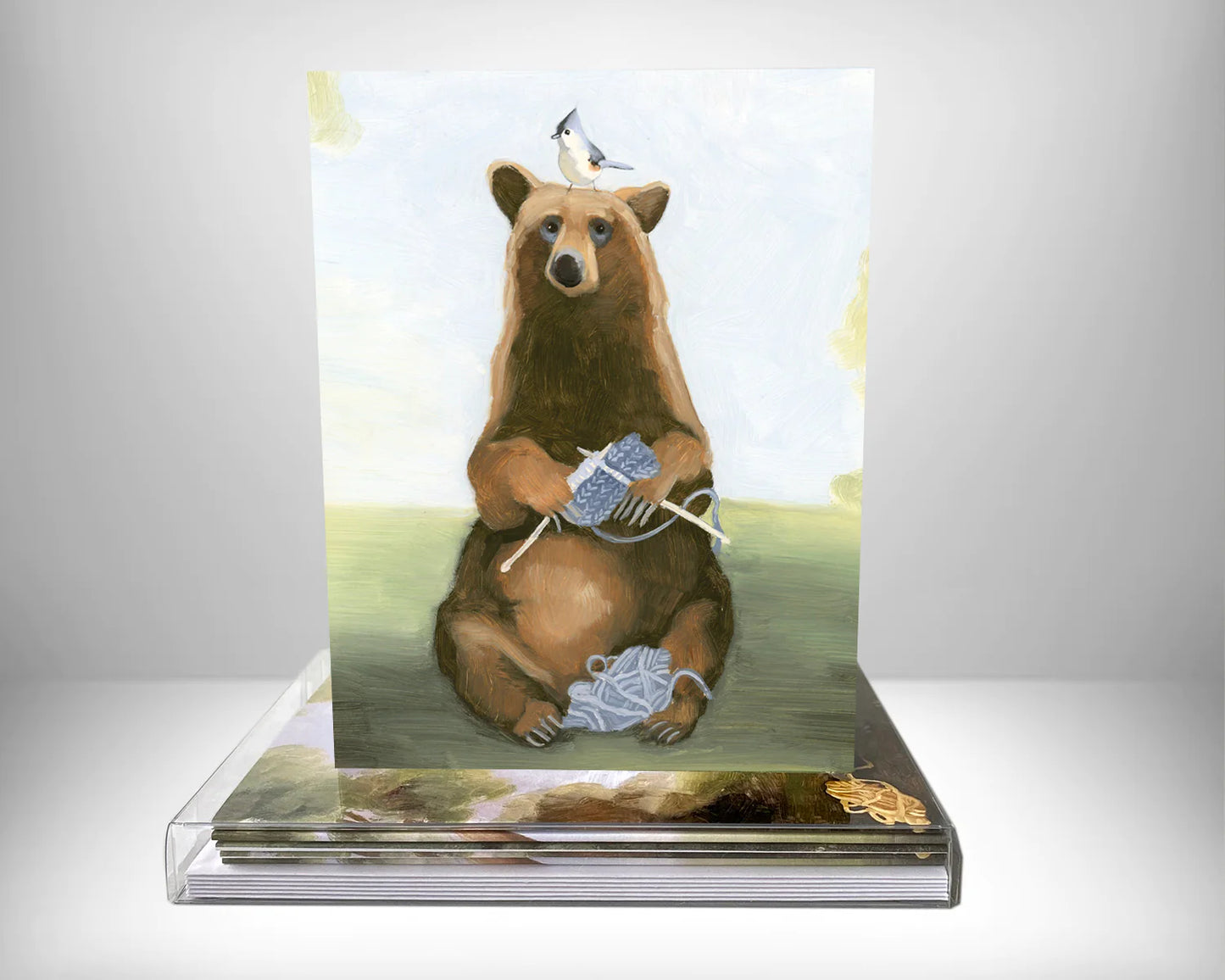 Always Knitting Greeting Card Box Set by Kim Ferreira (Joie de Vivre)