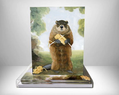 Always Knitting Greeting Card Box Set by Kim Ferreira (Joie de Vivre)