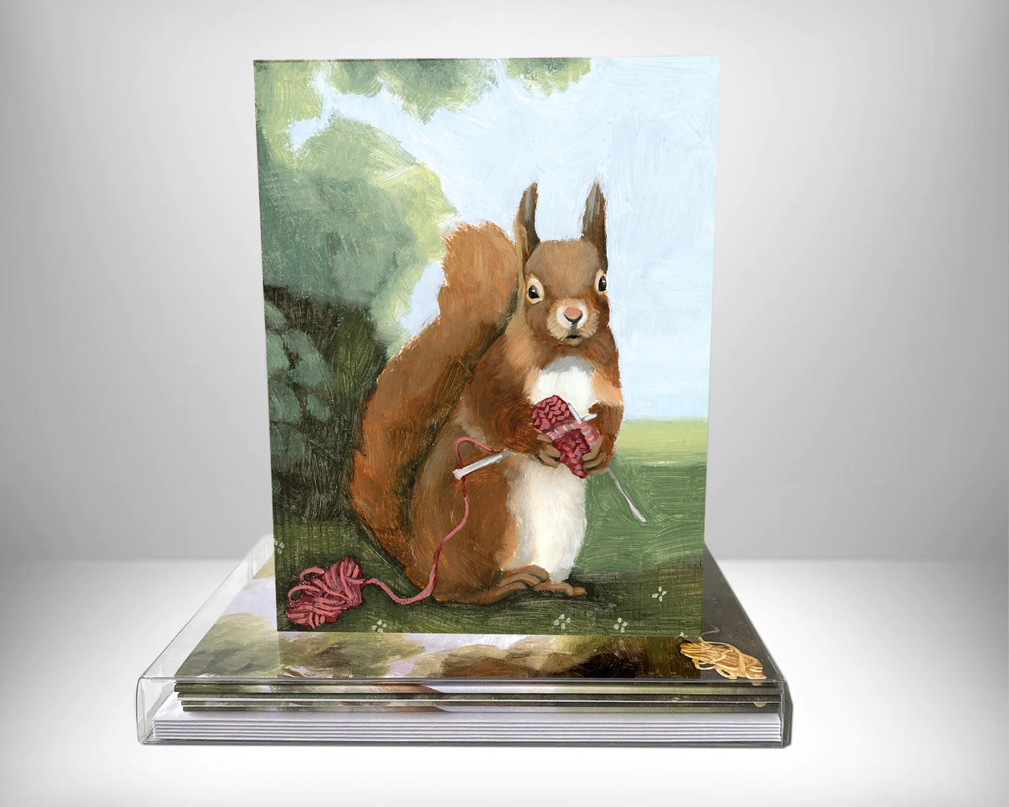 Always Knitting Greeting Card Box Set by Kim Ferreira (Joie de Vivre)
