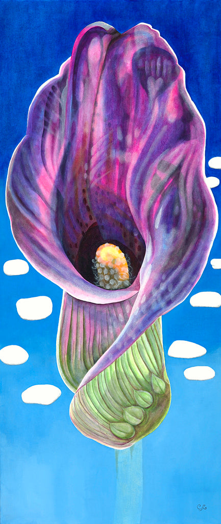 Spotted Calla - Greeting Card by Color Afoot Press