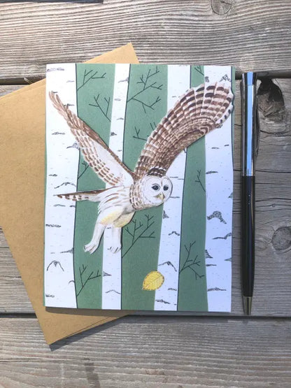 Barred Owl Greeting Card (Blank Inside) by Johanna Finnegan-Topitzer