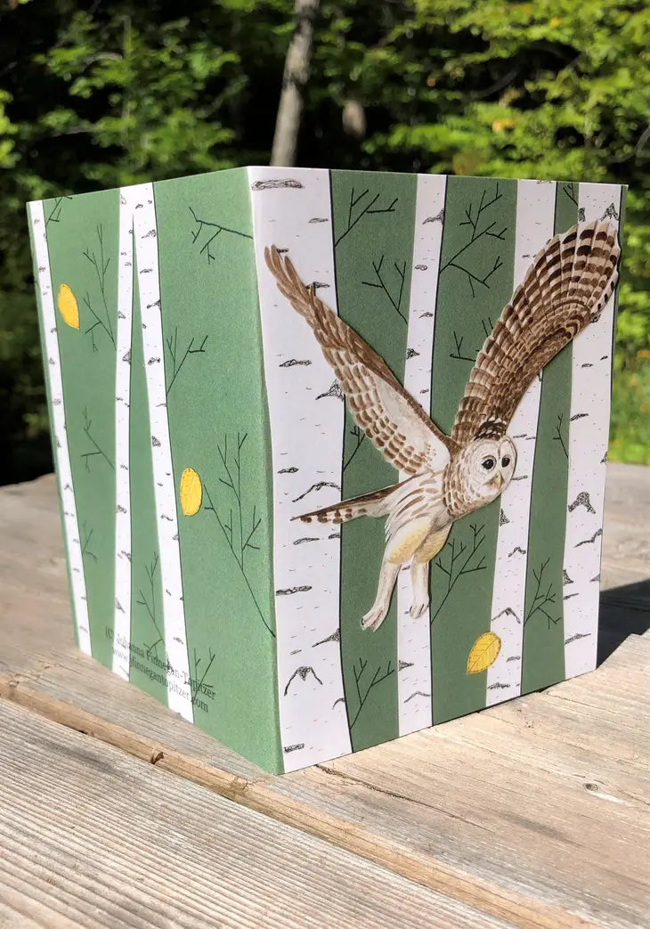 Barred Owl Greeting Card (Blank Inside) by Johanna Finnegan-Topitzer