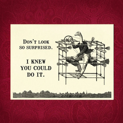 Don't Look So Surprised - Greeting Card by Adventure Awaits